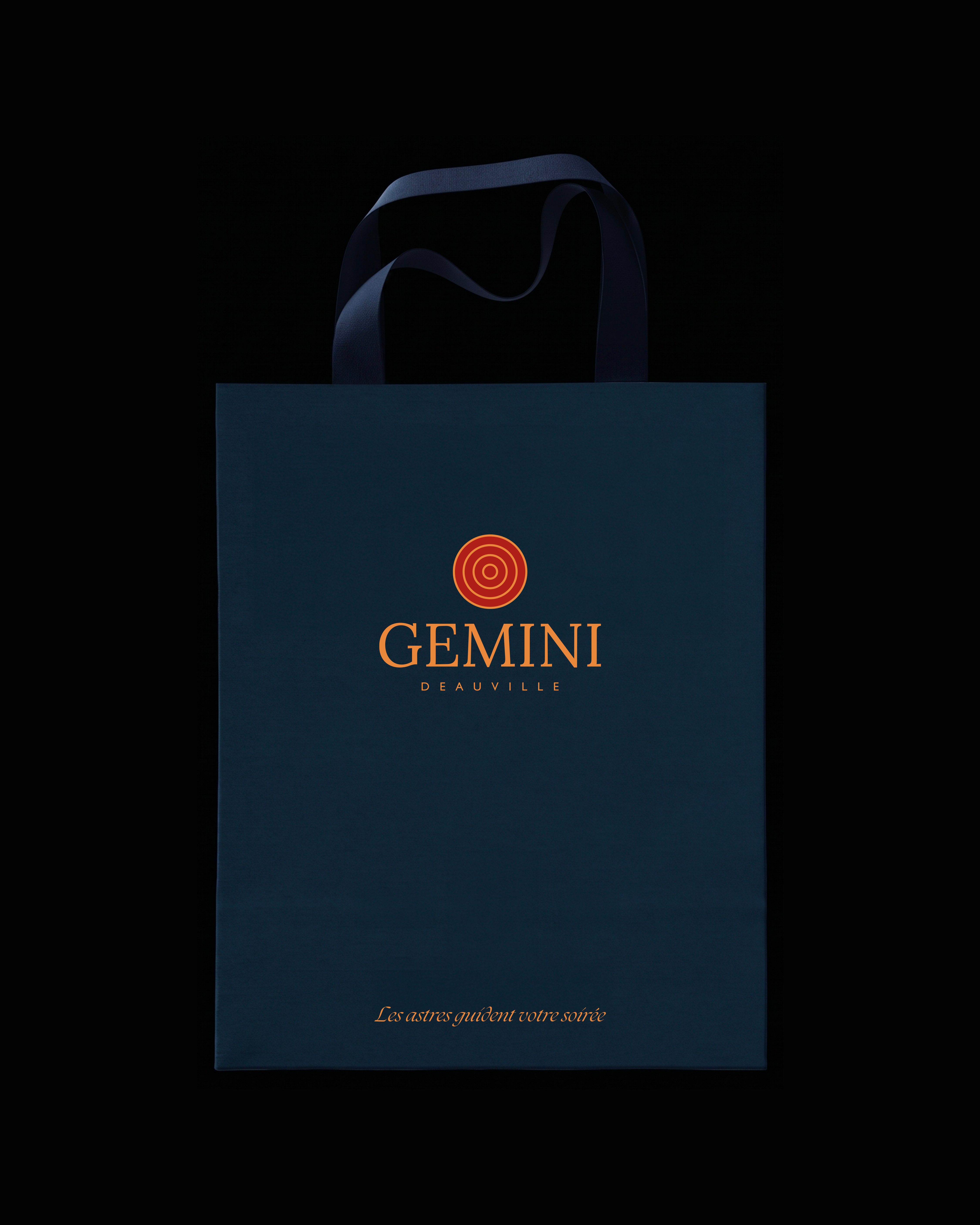 Gemini bloc 11